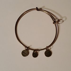 Alex and Ani charm bracelet